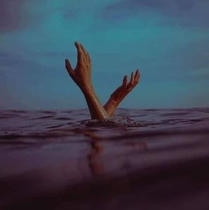 Meet your Posher, Shelly